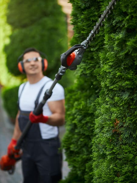 Trimming Hedges